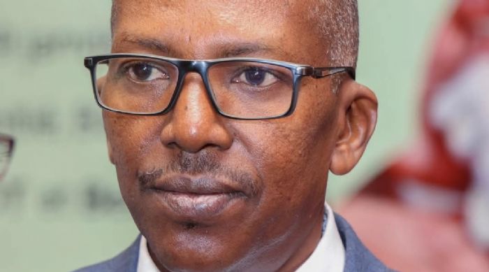 Convoitise du coton malien : la CMDT sous Mamadou Moustapha Diarra à l’offensive ! - Mali 24