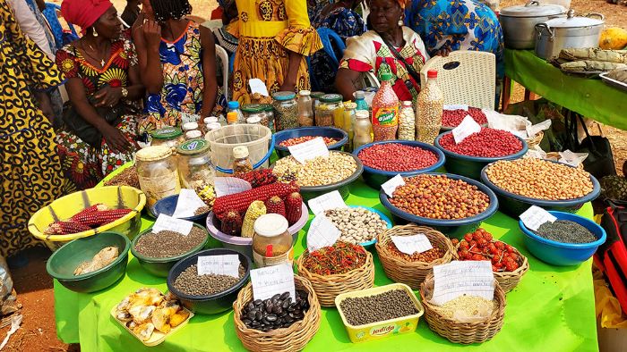 Cameroun : FOSPAC 2025 : La fierté des semences paysannes - La Voix Du Paysan