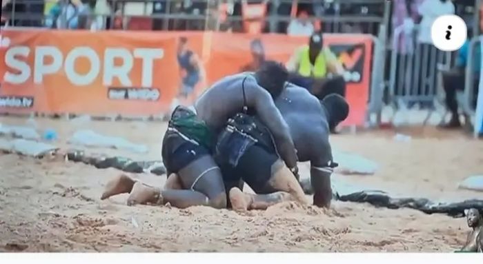 Lutte-  Siteu fait chuter Balla Gaye 2 : le lutteur de Lansar crée l’exploit et détrône l’Empereur - Sud Quotidien