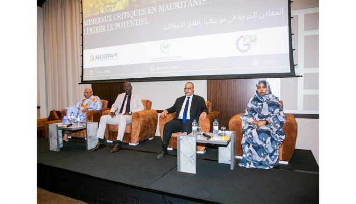 Réflexion sur la mise en valeur des zones géologiques à fort potentiel