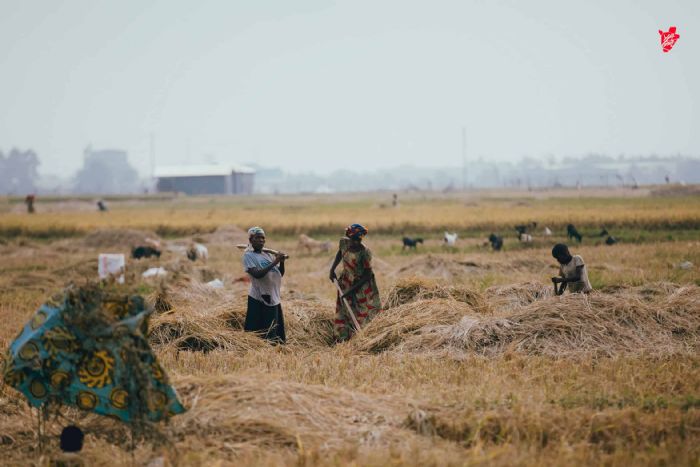 Au Burundi, l’égalité s’arrête-t-elle aux portes de l’héritage ?