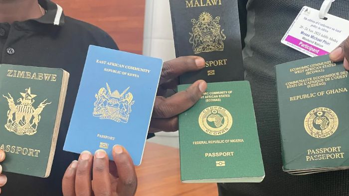 Togo: L’exemption de visa pour les Africains, un miroir aux alouettes panafricain pour masquer la faillite interne