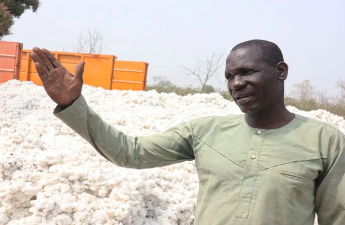 Togo / Retards de paiement. Coût élevé des intrants. Gestion opaque: Olam Face à La Colère Grandissante des Cotonculteurs