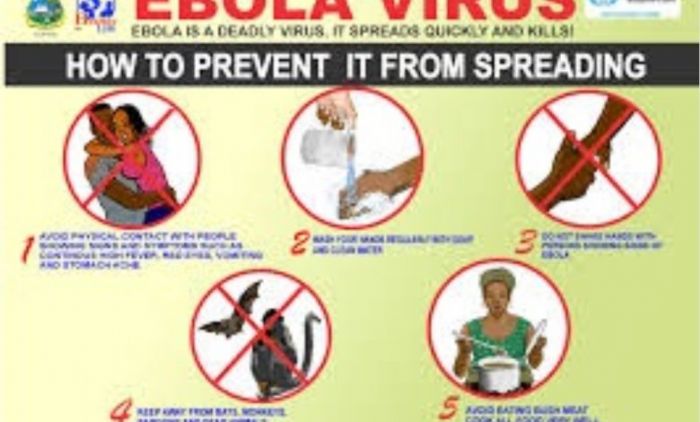 10 pays africains risquent d’être touchés par Ebola