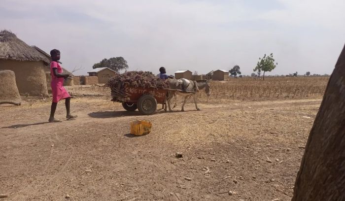Togo: Alerte sur une insécurité alimentaire aigüe au nord du pays
