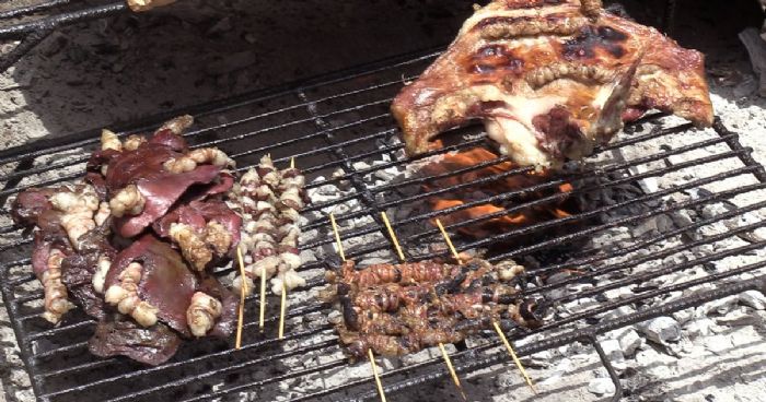 Pourquoi la Viande est-elle si Chère en Mauritanie malgré les 30 Millions d’Animaux d’Élevage?