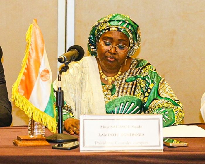 Séminaire IPP – PAMOMISC / Cour des comptes du Niger : trois jours pour refonder la culture de la redevabilité publique…