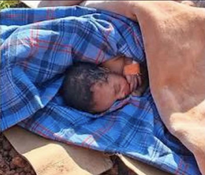 Bébé abandonné dans des toilettes : le père présumé introuvable, quatre proches mis en examen