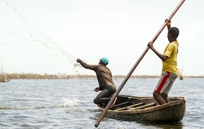 Ressources halieutiques : le Togo suspend temporairement les activités de pêche