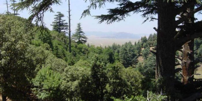 Maroc : L’ANEF cartographie le risque des incendies de forêts