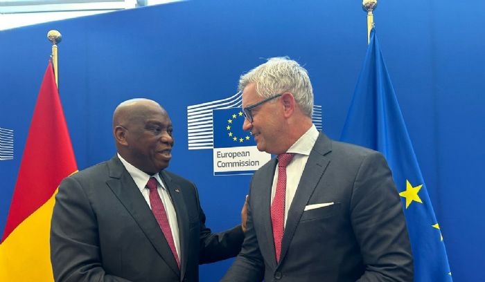 Diplomatie : quel impact économique et diplomatique après les restrictions de visas Schengen contre la Guinée ?