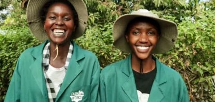 Afrique subsaharienne | 12 millions de dollars pour l’agritech : Proparco parie sur l’innovation agricole contre le réchauffement