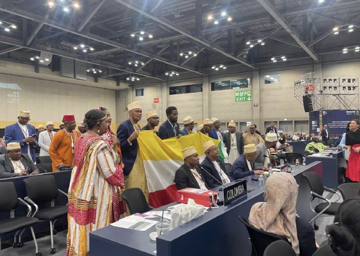 Patrimoine mondial de l’UNESCO : que signifie réellement l’inscription des médinas des Sultanats historiques des Comores ?
