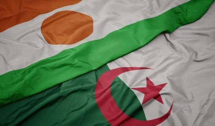 Sahel : l'Algérie relance sa coopération avec le M ali et le Niger