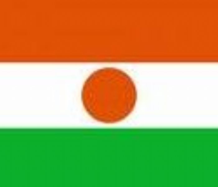 Niger: la mascarade référendaire