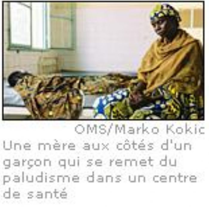 L'Organisation mondiale de la Santé prend des mesures d'urgence contre le paludisme au Niger