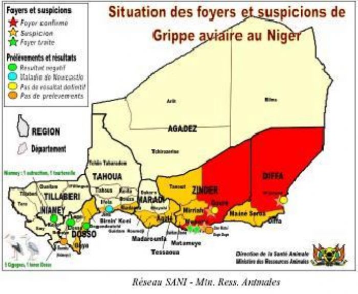 Grippe aviaire. Situation au Niger
