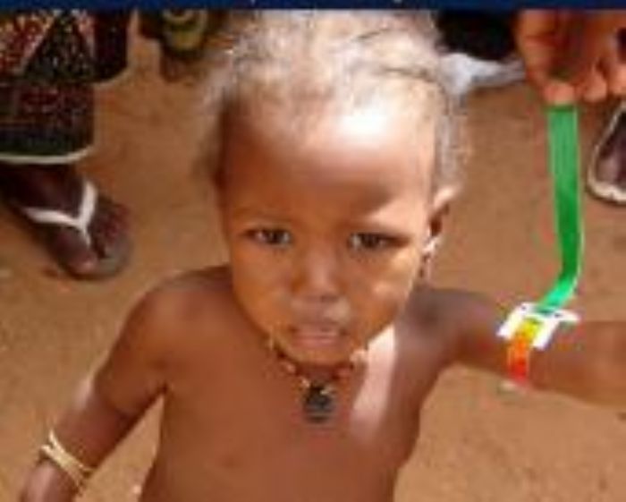 Evaluation du processus de mise en œuvre et de la couverture du traitement de masse du programme national de lutte contre la bilharziose et les Géohelminthiases