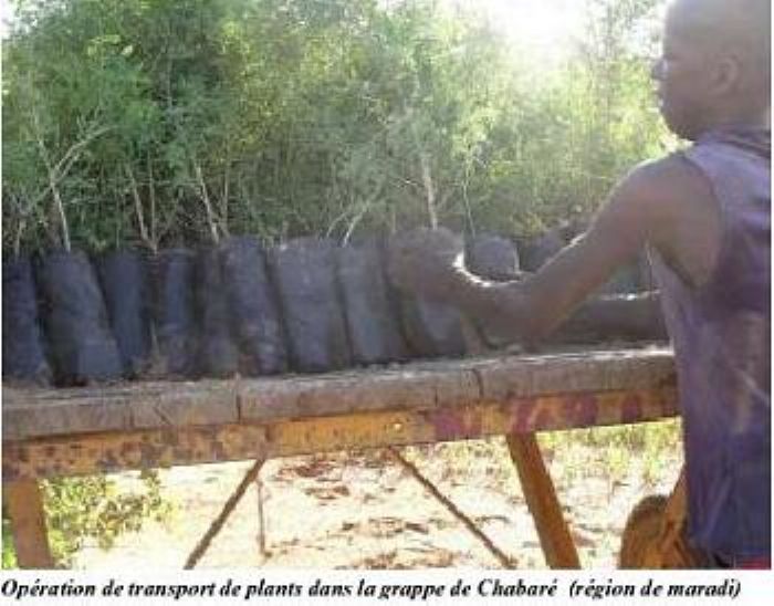 L’Initiative biocarbone. Volet bio carbone du Programme d’Actions Communautaires. UNE INITIATIVE NIGERIENNE DE LUTTE CONTRE LA PAUVRETE ET LA PROTECTION DE L’ENVIRONNEMENT.