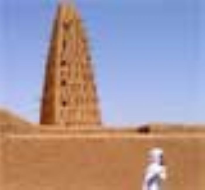 
		
		Agadez environnement : un écosystème assez riche dans un environnement austère