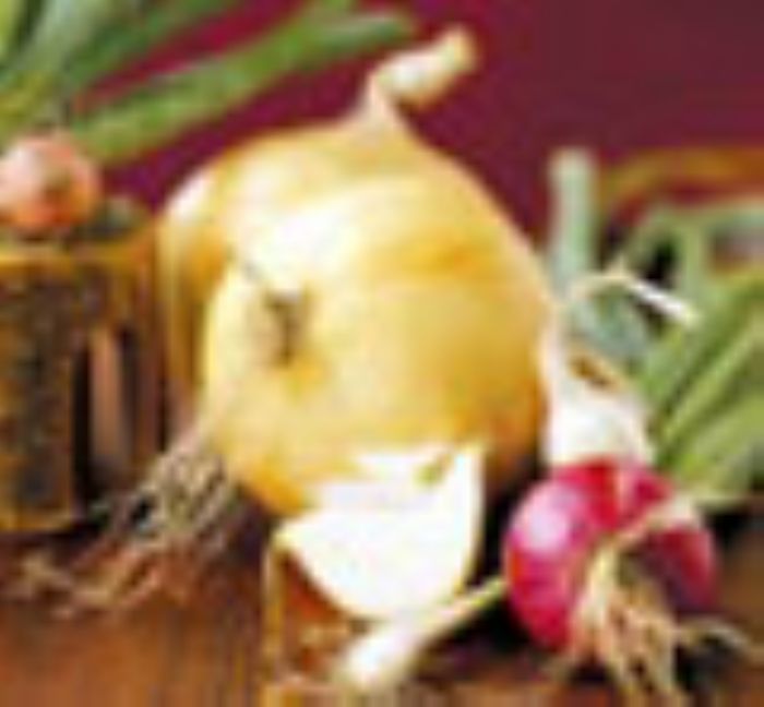 
		
		L’oignon nigérien en voie de certification