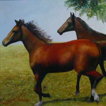 E-cartes : M. Indalabi - 5