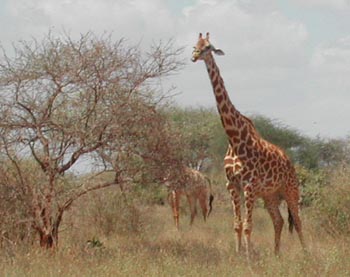 E-cartes : Aubry - 3