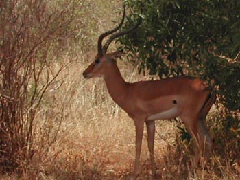 E-cartes : Aubry - 4