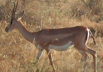 E-cartes : Aubry - 6