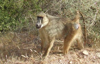 E-cartes : Aubry - 7