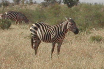 E-cartes : Aubry - 8