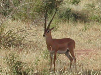 E-cartes : Aubry - 9