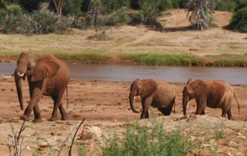 E-cartes : Aubry - 10