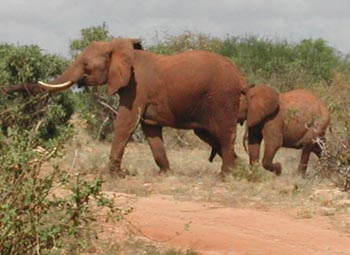 E-cartes : Aubry - 11