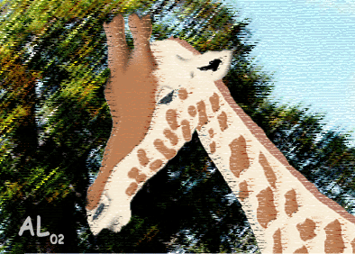 E-cartes : AL - 11