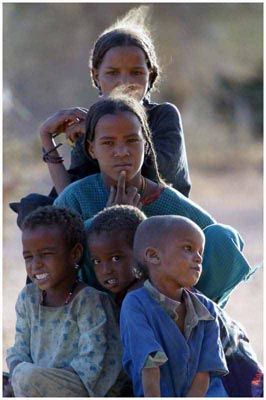 E-carte Jean-Charles - Regards Touaregs n&deg;12