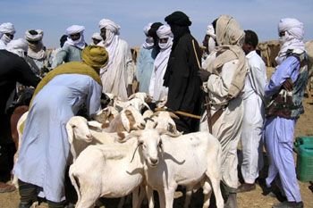 E-carte Luyckx Danièle - Agadez n&deg;25