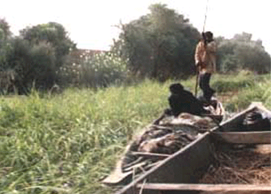 E-cartes : Cyril Jeanjean - 8