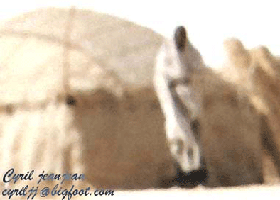 E-cartes : Cyril Jeanjean - 10